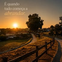 Caminho ao pôr do sol — Rural Farm Alive